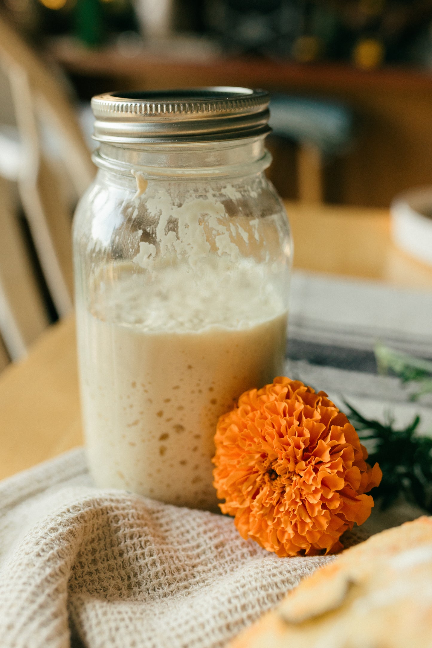 The "Starter" Kit - Mini Sourdough Kit