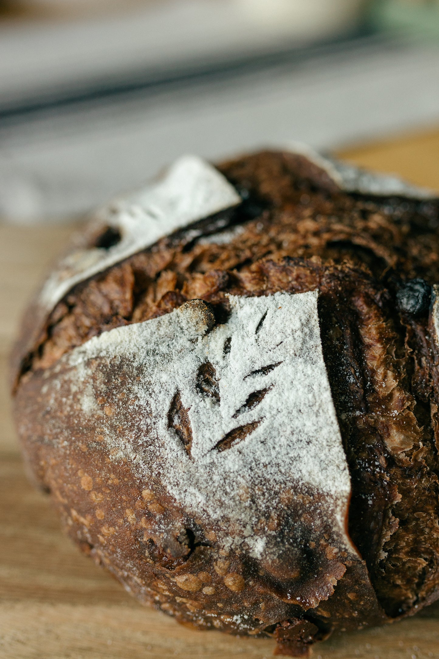 Sourdough 101 @ Mojica Family Farm - TICKETS ARE ON EVENTBRITE