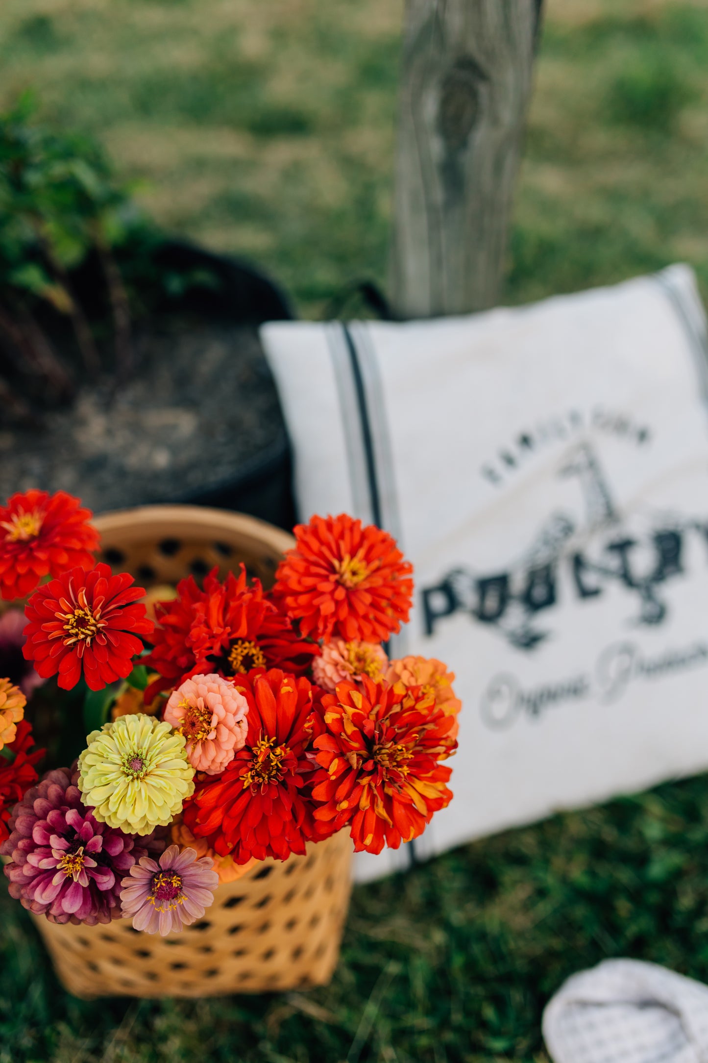 Bucket of Blooms