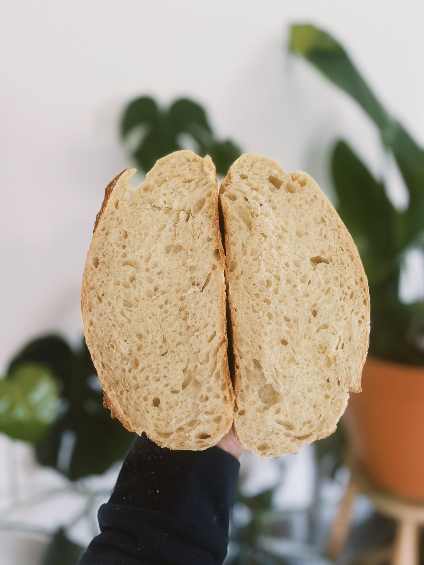 Sourdough Loaf