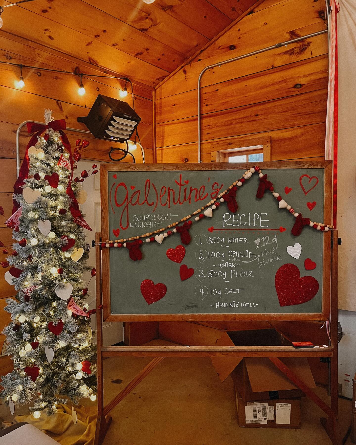 GALENTINES Sourdough 101 @ Mojica Family Farm - February 11th