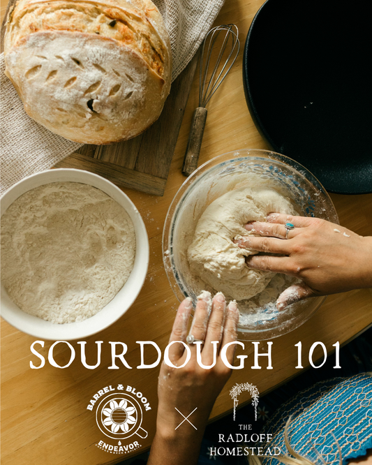 Sourdough 101 @ Barrel & Bloom Coffee