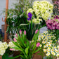 DIY Bloom Bar Flower Cart Rental