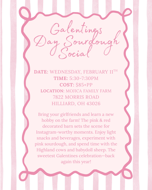 GALENTINES Sourdough 101 @ Mojica Family Farm - February 11th