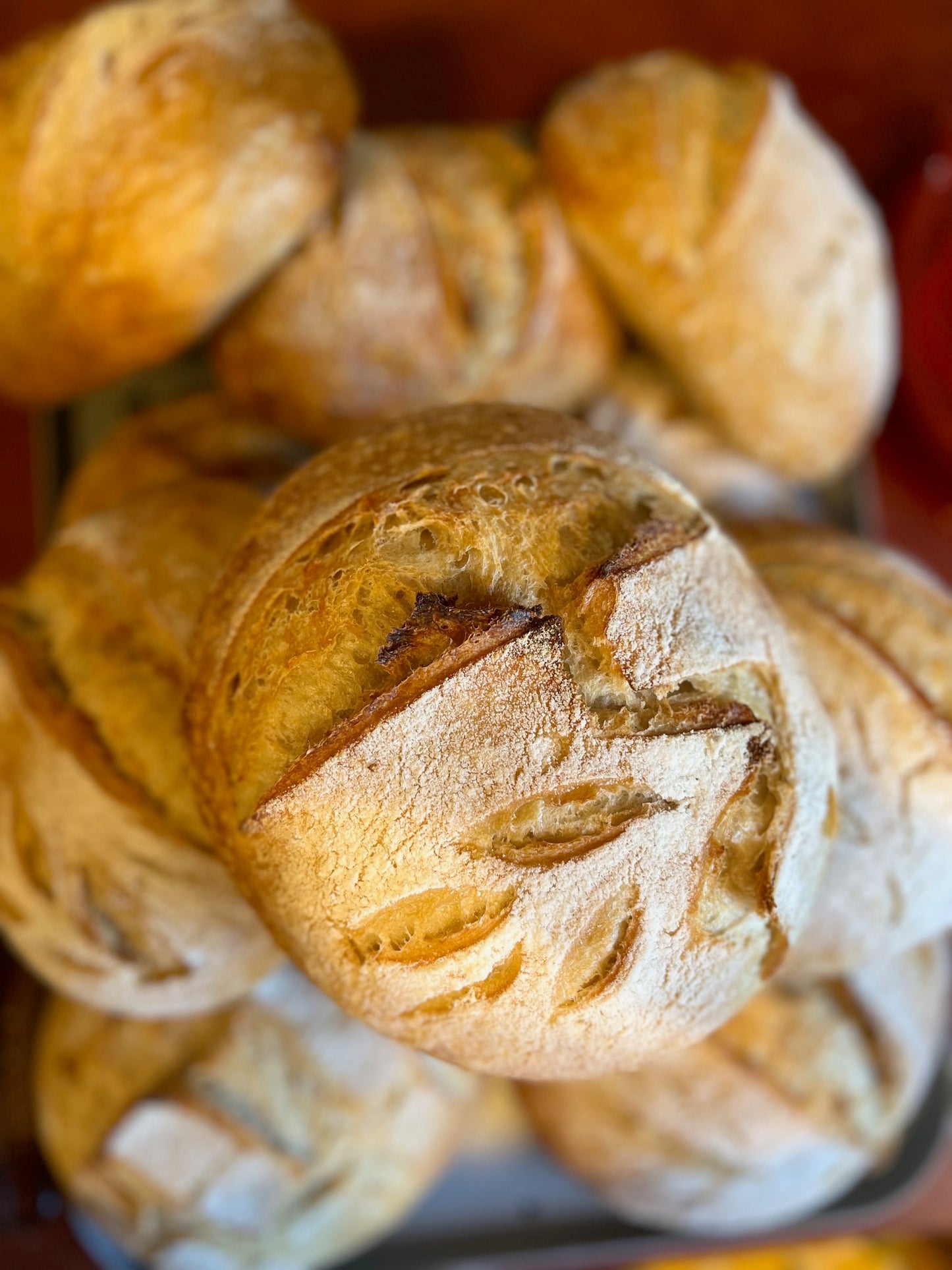 Sourdough Loaf