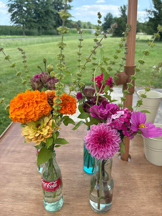 Bud Vases