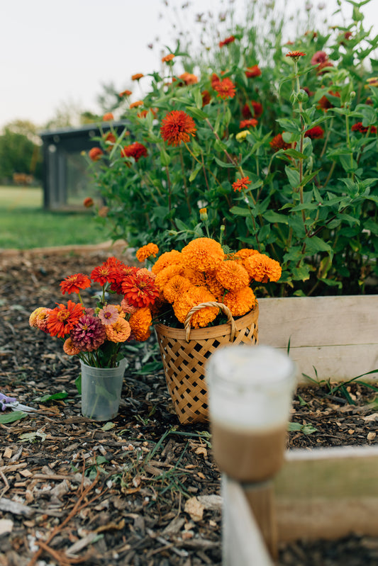 Bucket of Blooms