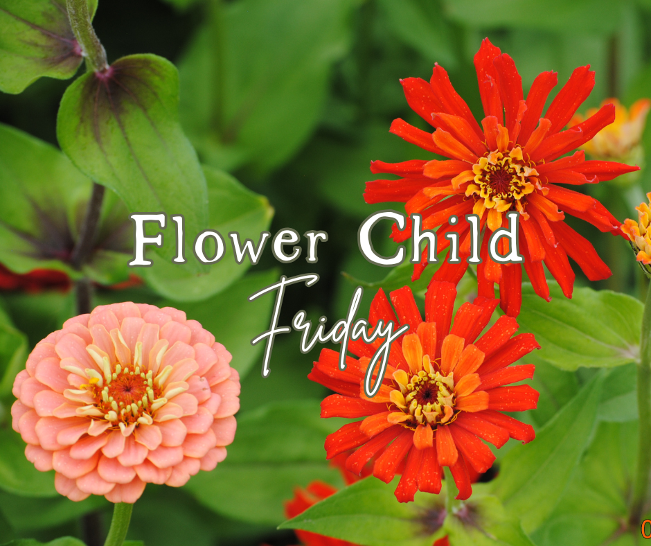 Flower Child Friday