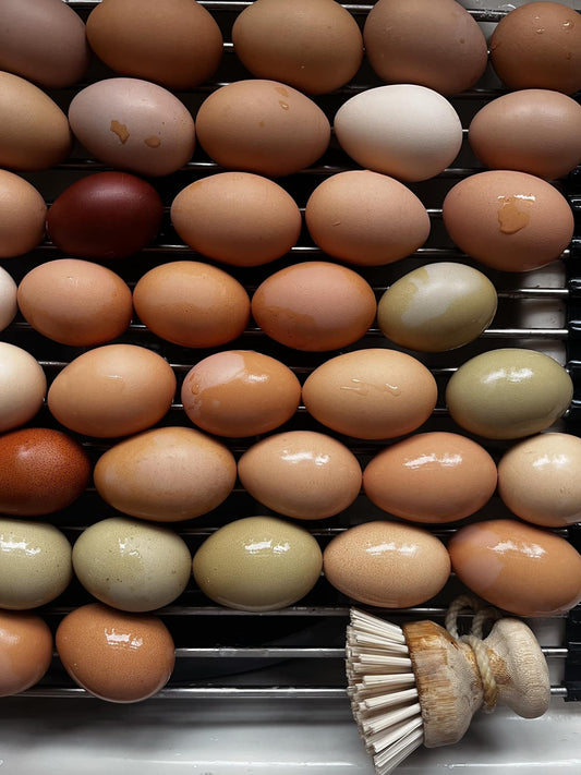 Farm Fresh Chicken Eggs (Dozen)