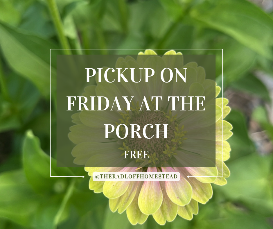 Friday Porch Pick Up Option - Free